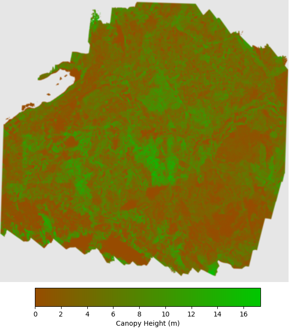 New NCALM dataset in Tahoe National Forest available | OpenTopography