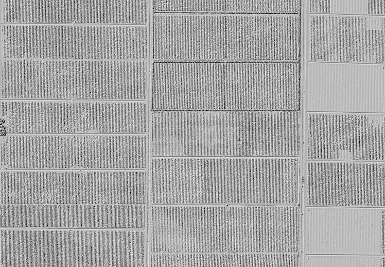 Hillshade of Citrus Crops